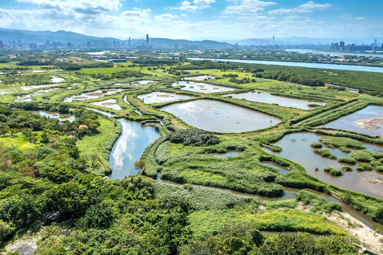 關渡自然公園